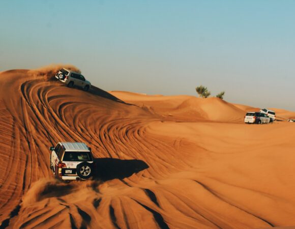 Evening Desert Safari